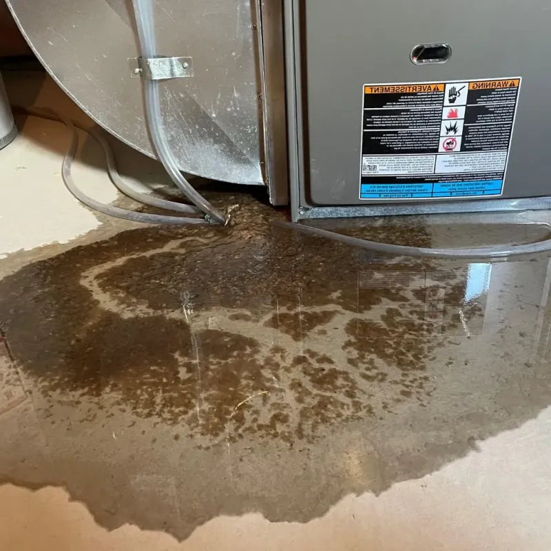 Pipe Burst and Leak Restoration in Marlinton, WV