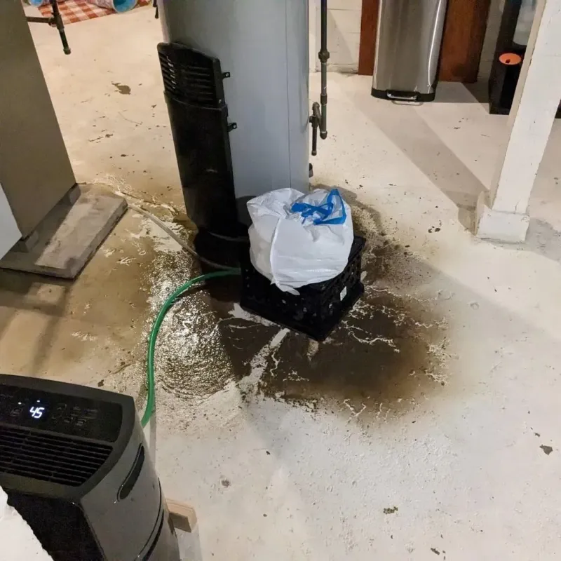 Sewage Backup Cleanup Service in Marlinton, WV